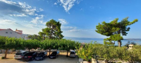 Apartments Goga
